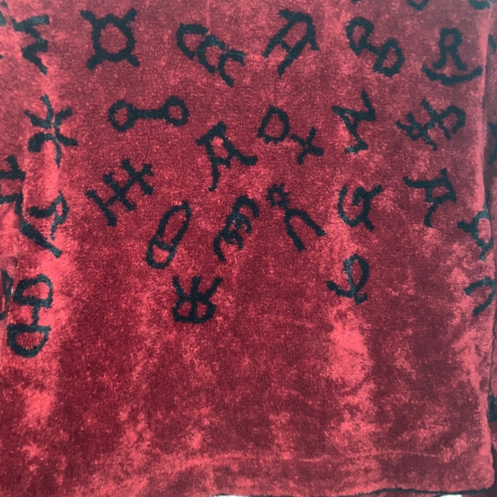 Vintage‎ Red Carpet Fleece Jacket with Black Brand Print - Picture 8 of 12